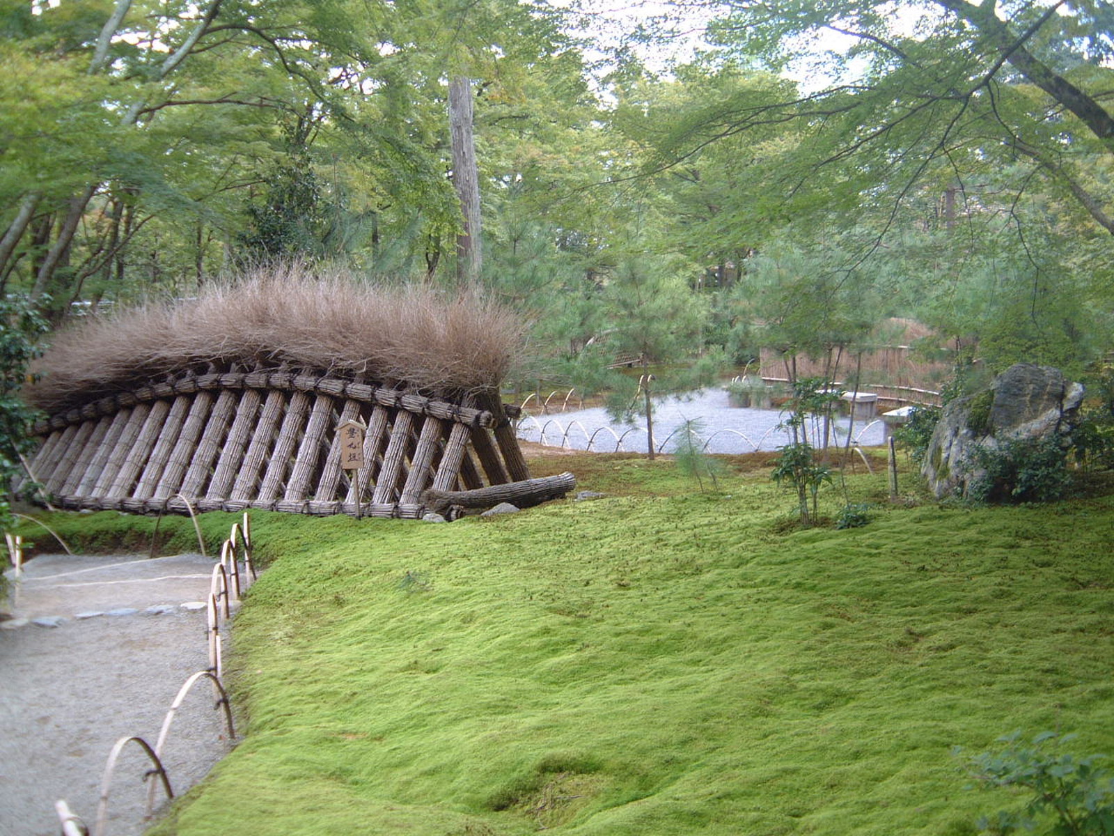 Kyoto Ginkakuji Moss